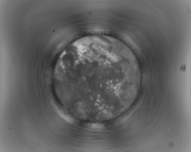 X0000092020165200709201558