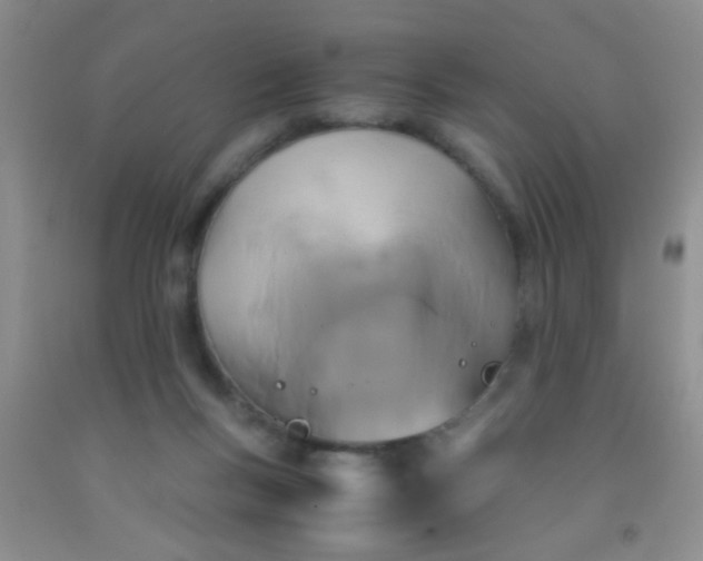 X0000092020167200709201558