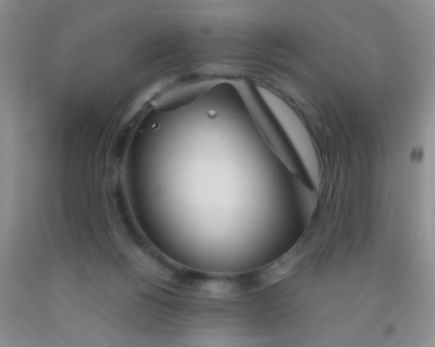 X0000092020168200709201558