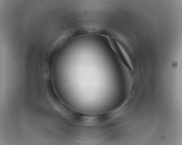 X0000092020170200709201558