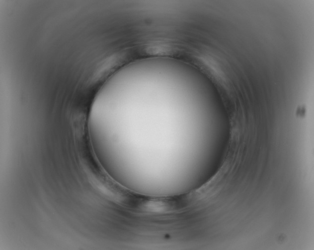 X0000092020171200709201558