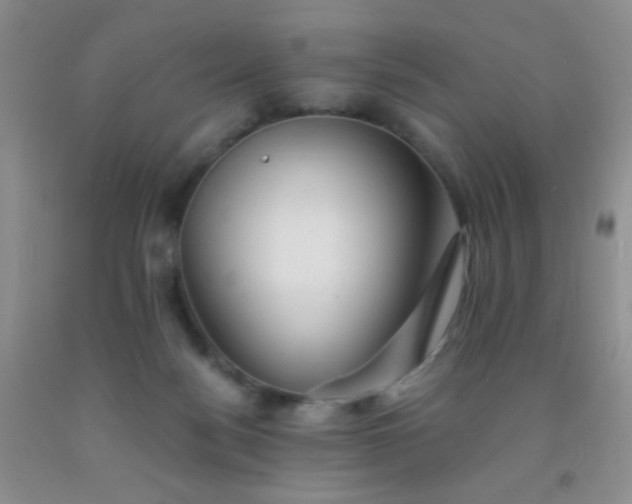 X0000092020172200709201559