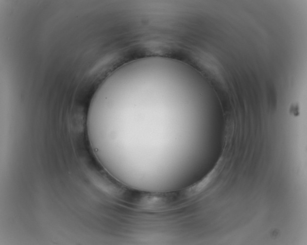 X0000092020174200709201559