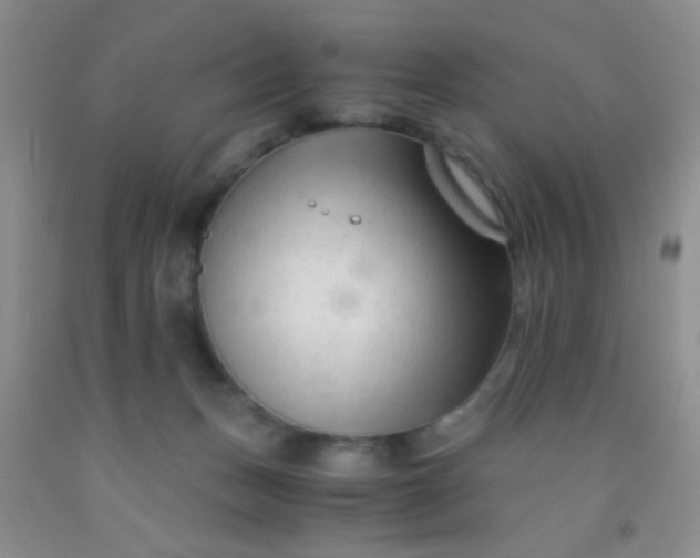 X0000092020175200709201559