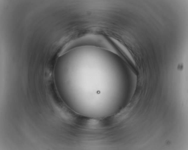 X0000092020176200709201559