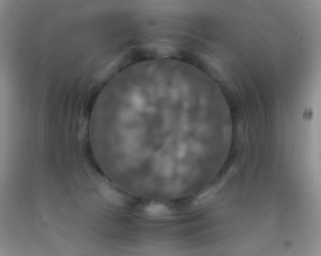 X0000092020177200709201559