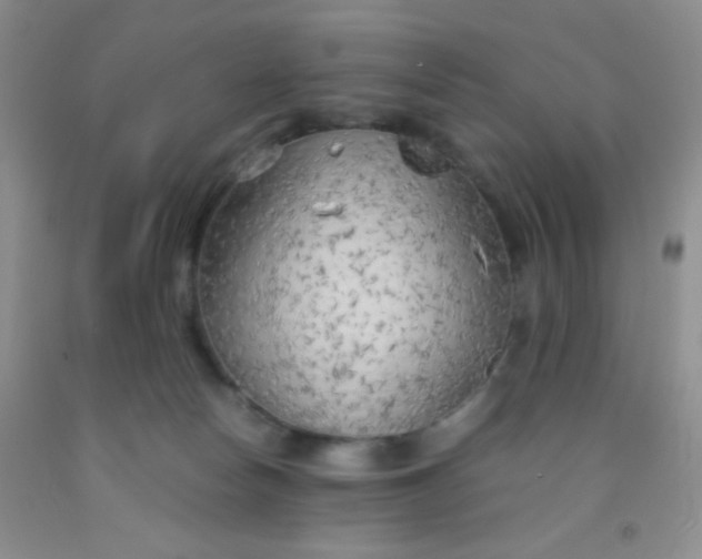 X0000092020178200709201559