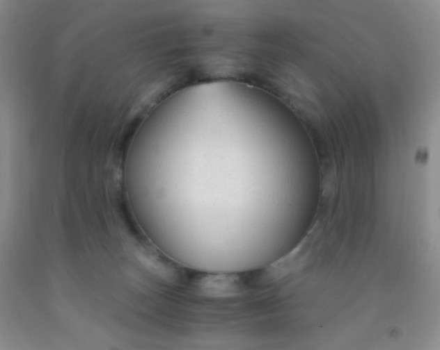 X0000092020179200709201559