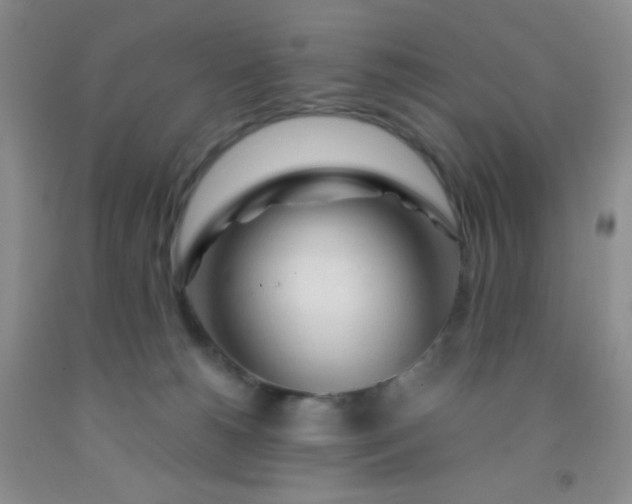 X0000092020180200709201559