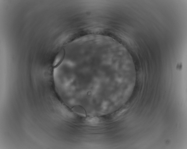 X0000092020181200709201559