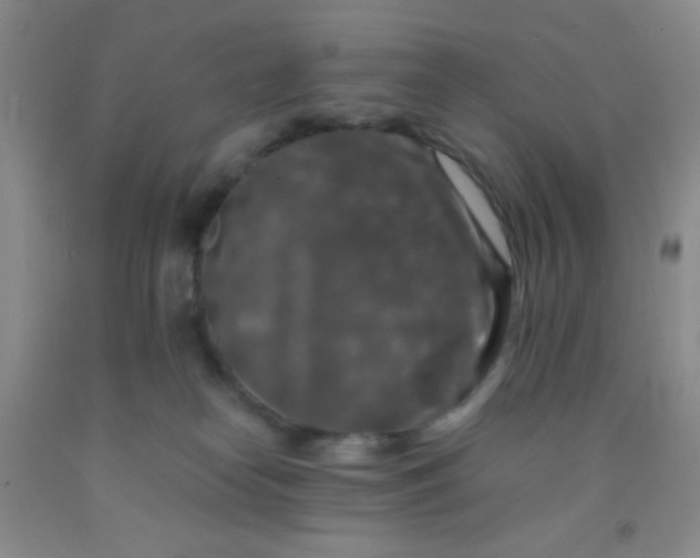 X0000092020182200709201559