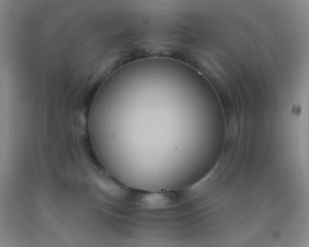 X0000092020183200709201559