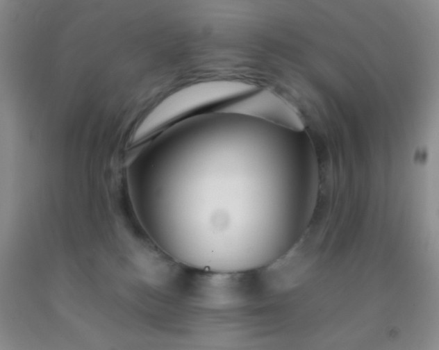 X0000092020184200709201559