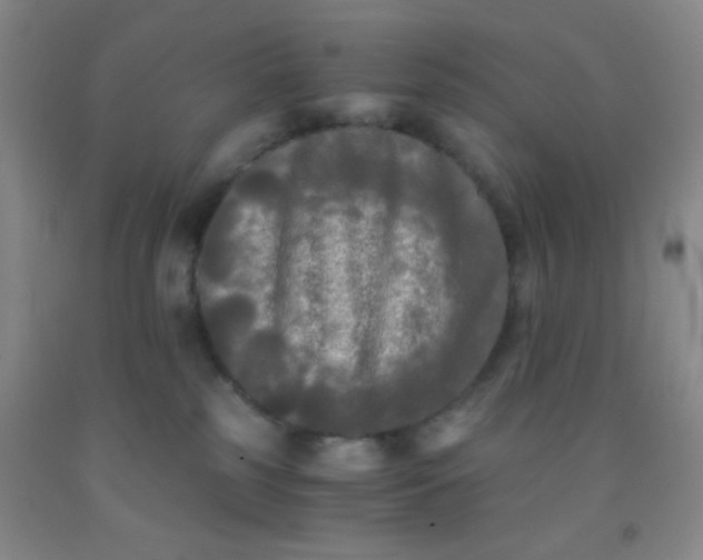 X0000092020185200709201559