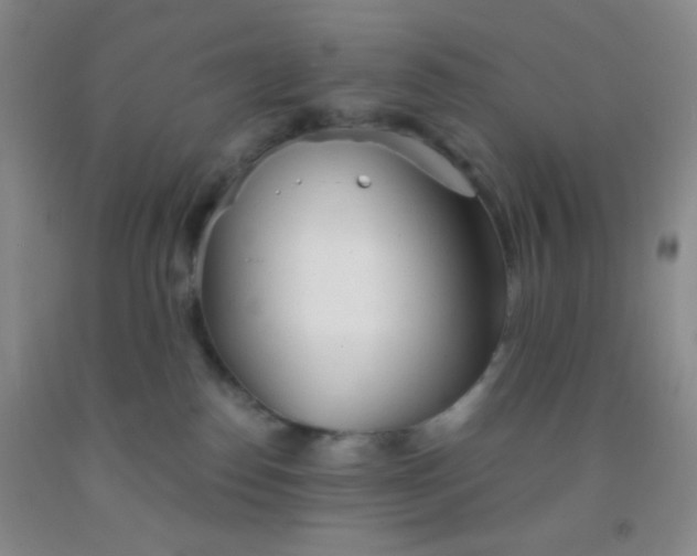 X0000092020186200709201559