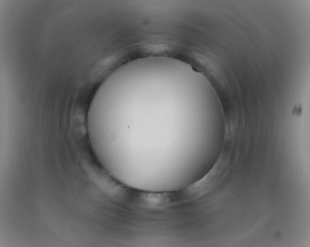 X0000092020187200709201559