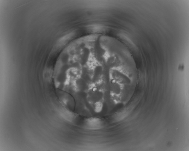 X0000092020189200709201559