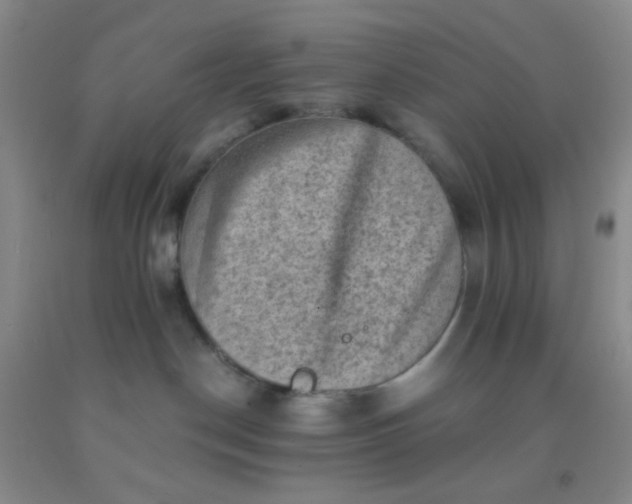 X0000092020190200709201559