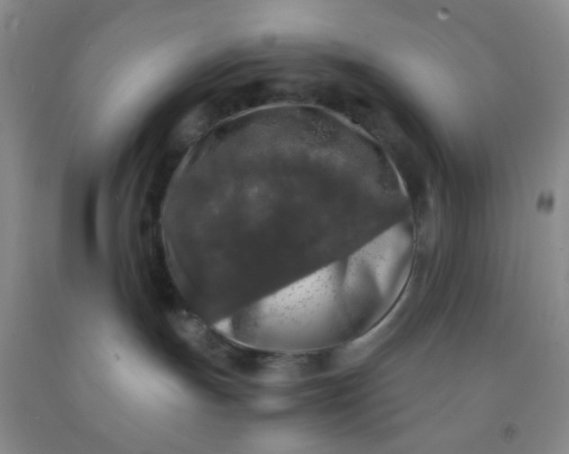 X0000092020191200709201559