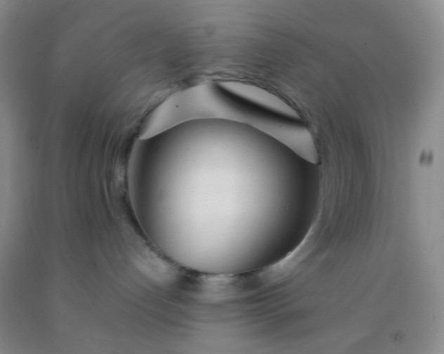 X0000092020192200709201559