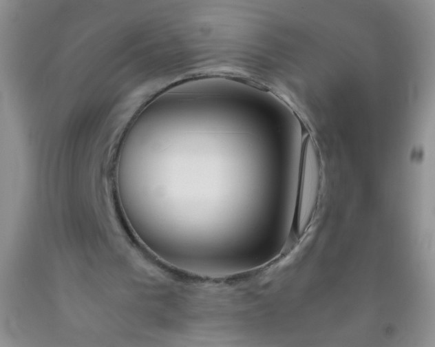 X0000092020193200709201558