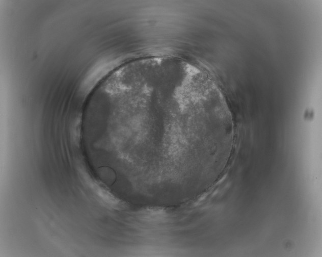 X0000092020194200709201558