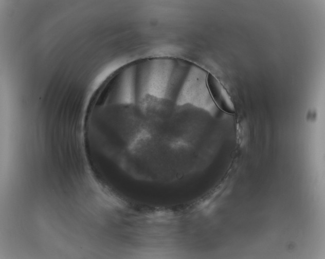 X0000092020196200709201558