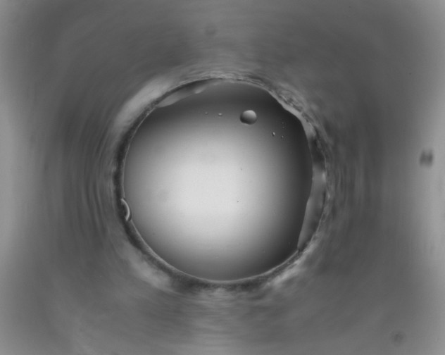 X0000092020197200709201558