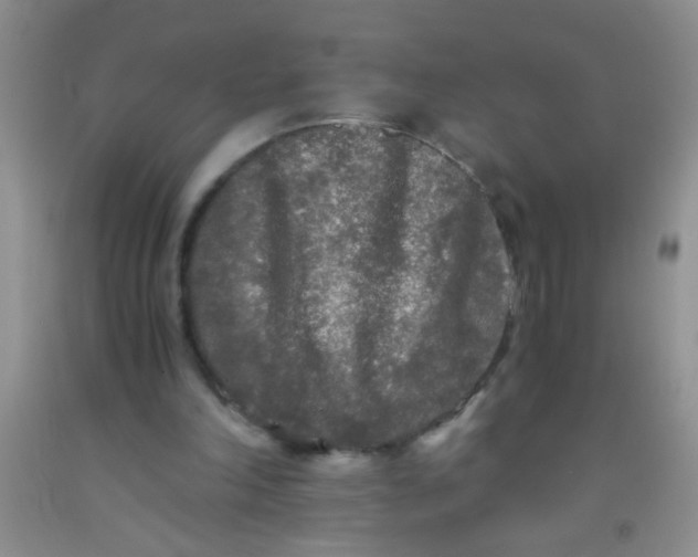 X0000092020198200709201558