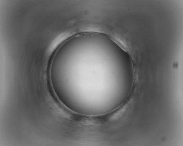 X0000092020199200709201558