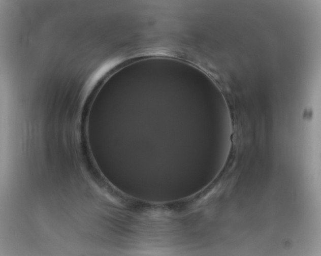 X0000092020200200709201558