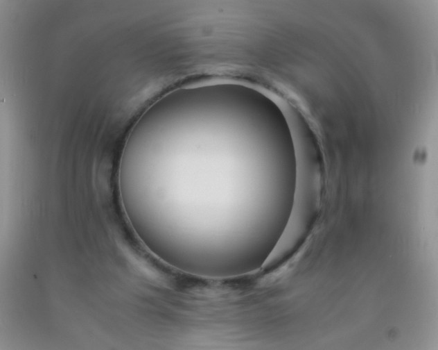 X0000092020201200709201558