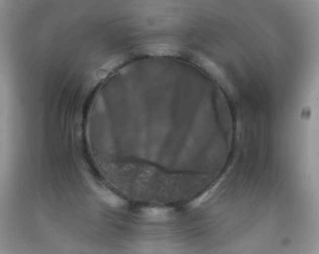 X0000092020202200709201558