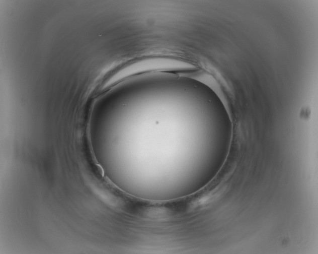 X0000092020203200709201558