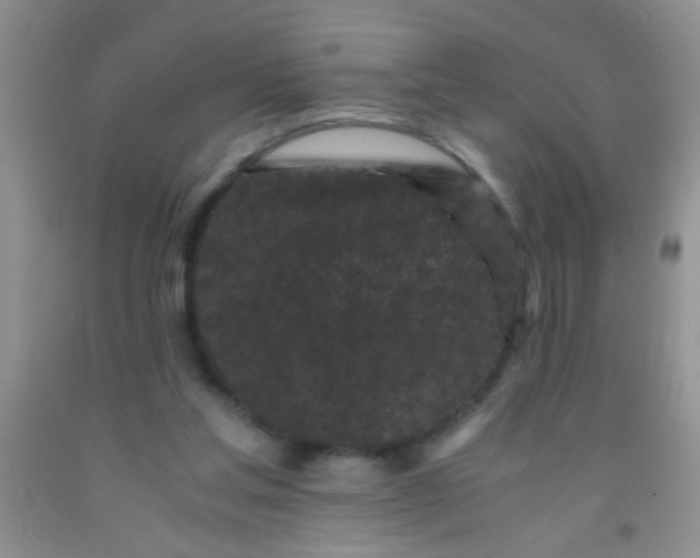 X0000092020205200709201558