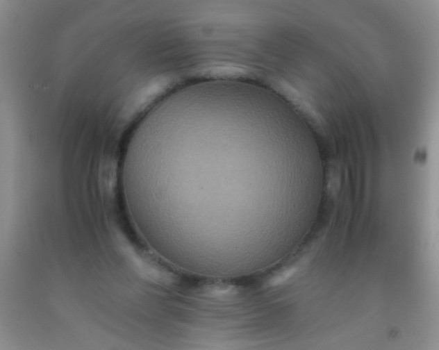 X0000092020206200709201558