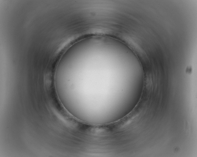 X0000092020208200709201558