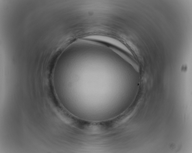 X0000092020209200709201558