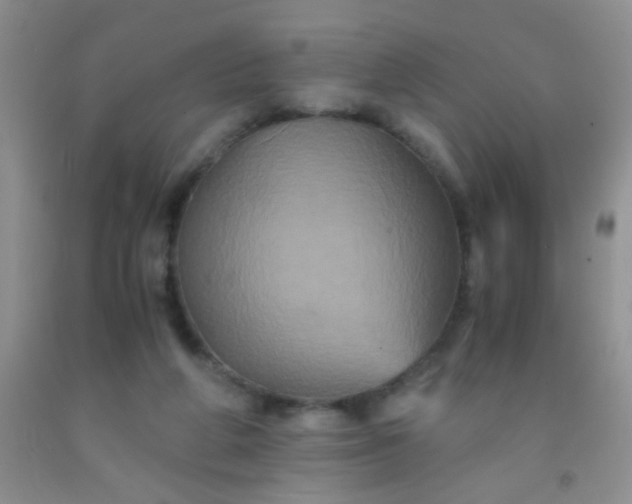 X0000092020210200709201558