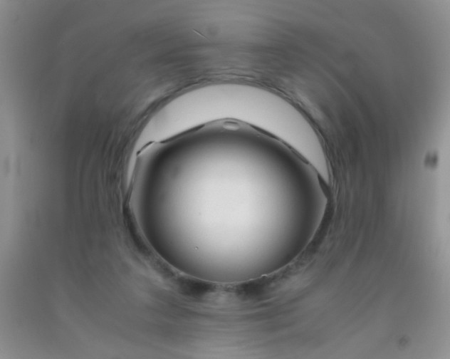 X0000092020211200709201558