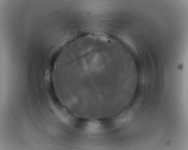 X0000092020214200709201558