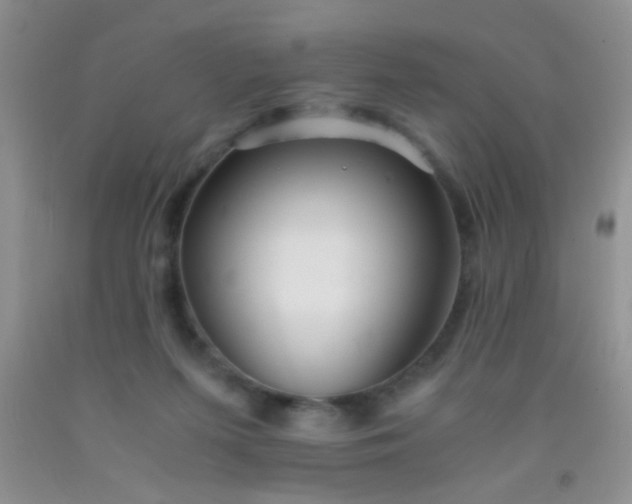 X0000092020215200709201558