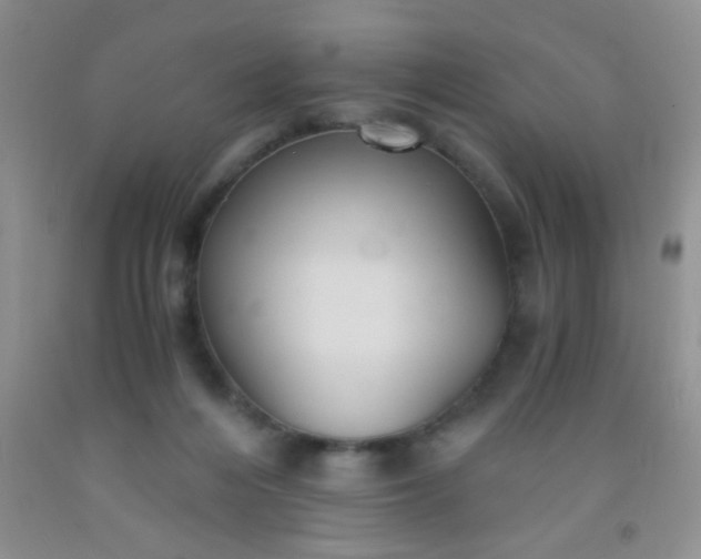 X0000092020216200709201558