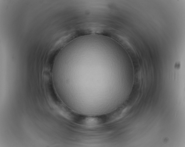 X0000092020218200709201558