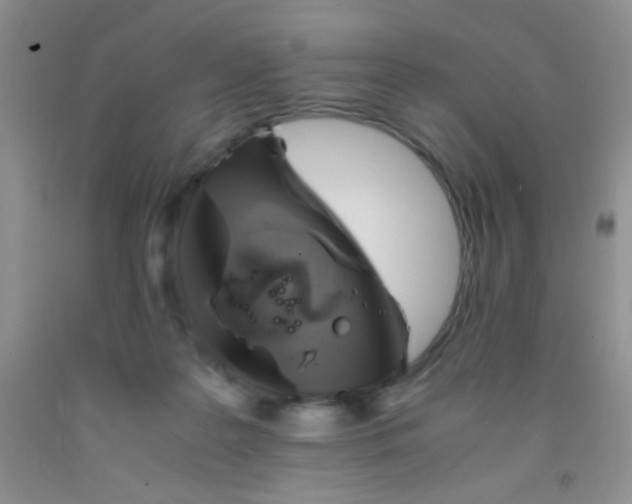 X0000092020219200709201558