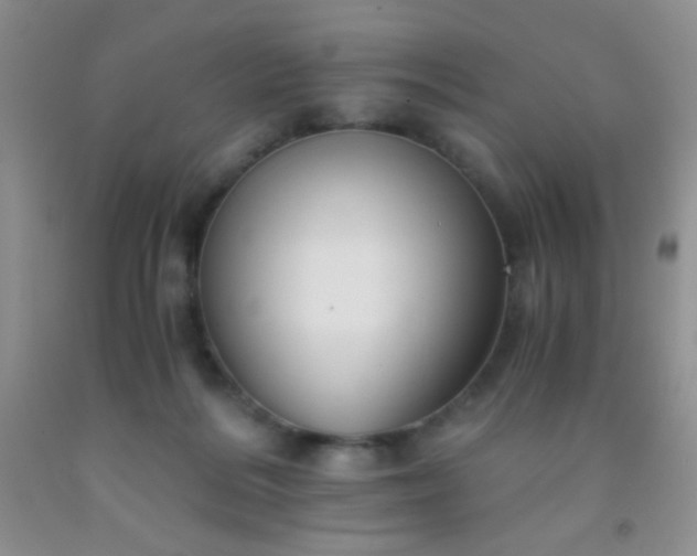 X0000092020220200709201558