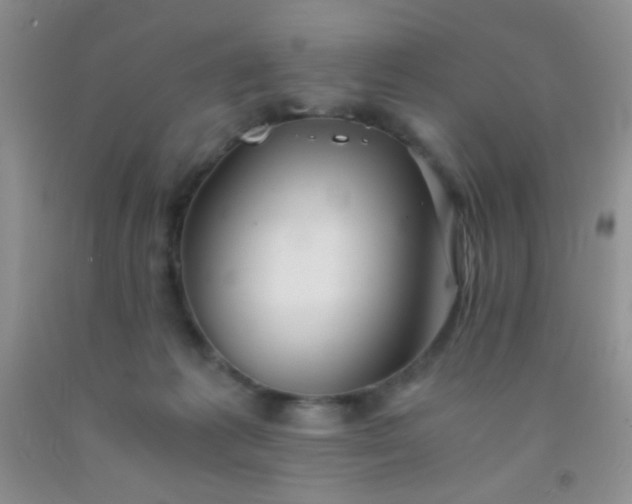 X0000092020221200709201558