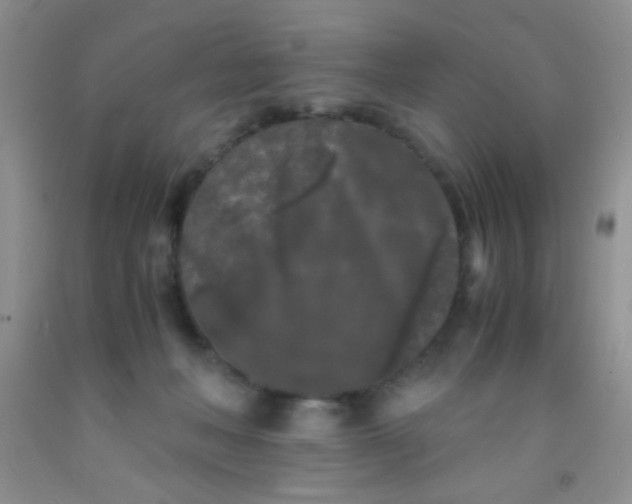 X0000092020222200709201558