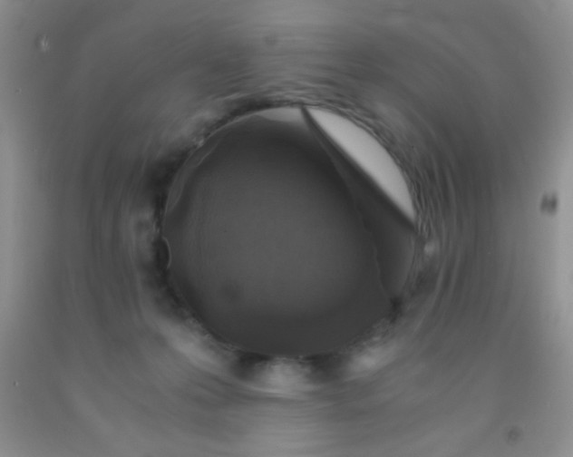 X0000092020223200709201558