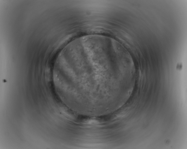 X0000092020224200709201558